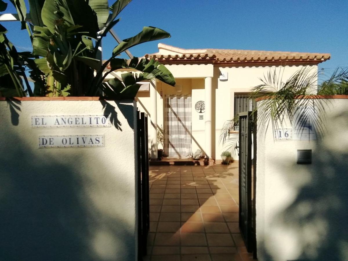 Guest House El Angelito De Olivas Pedreguer Zewnętrze zdjęcie